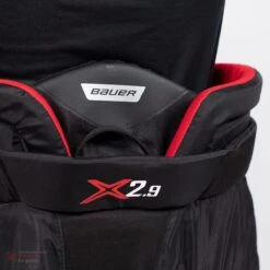 Bauer Vapor X2.9 Senior Goalie Pants -Bauer bauer goalie pants bauer vapor x2 9 senior goalie pants 5496832557122